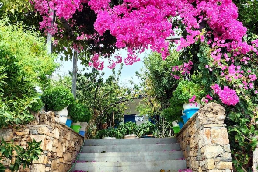 Studio Alonnisos Steni Vala Ikion  Studio 3 - foto 10