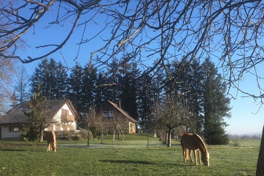 Wohnung "Bellevue" - foto 20