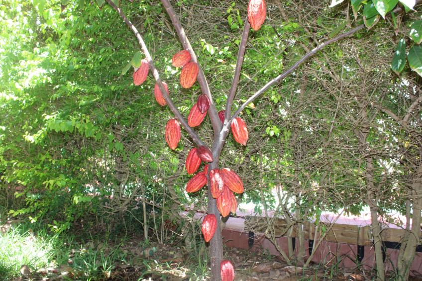 VIllakapy Ideal für Rentnerinnen und Rentner - foto 24