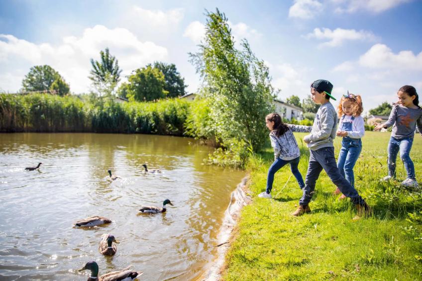 Module 5 persons Wellness - foto 7