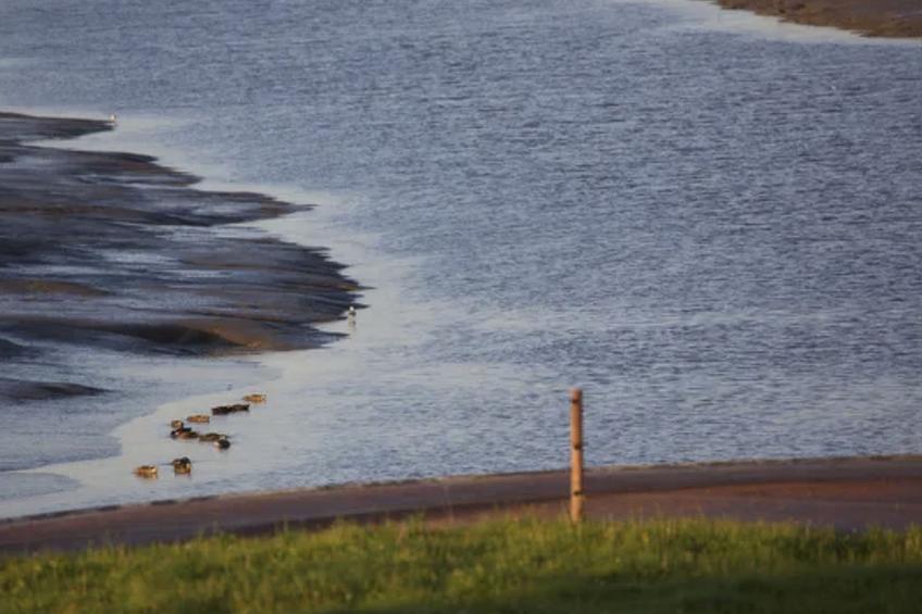 Traumhaftes Reetdachhaus an der Nordsee - foto 45