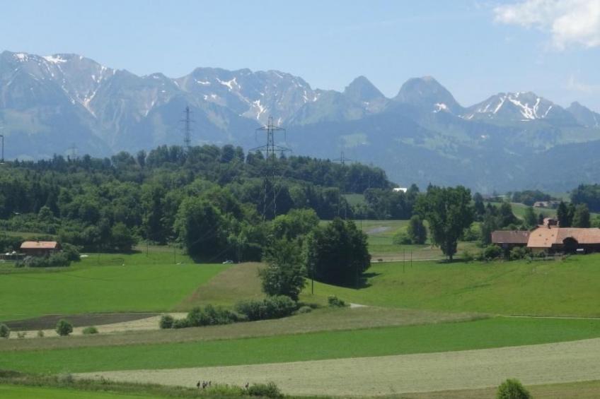 Hof Schürweid - foto 11