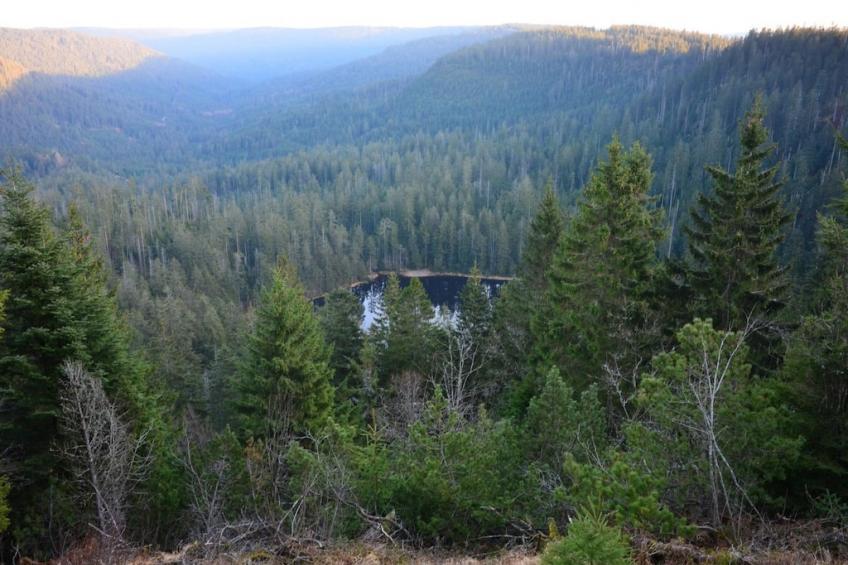 127239 - foto 20