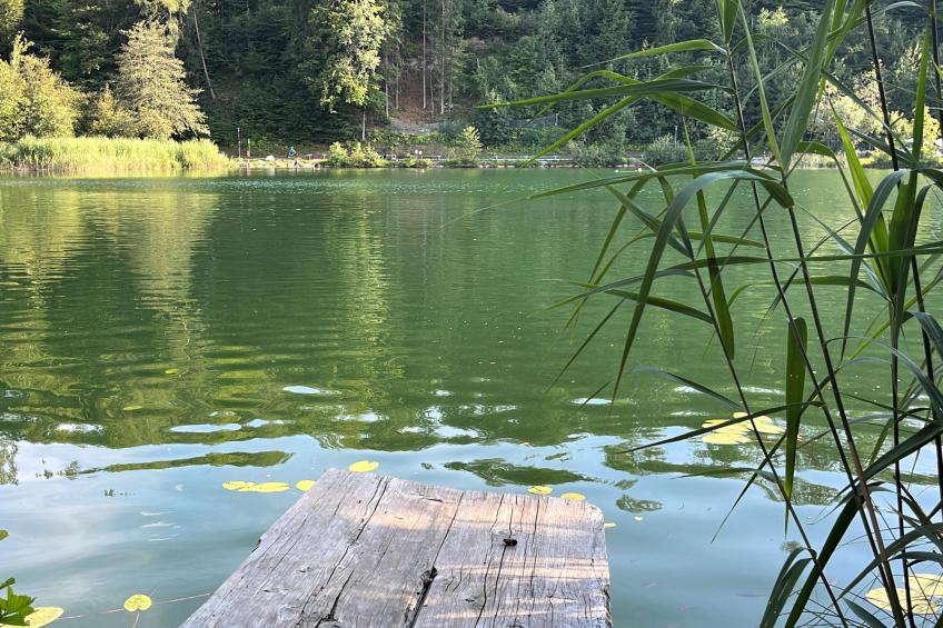 Residenz Aichwaldsee - foto 47