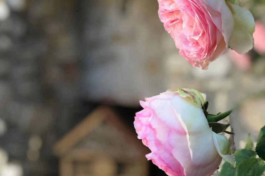 Haus mit Charakter in der Nähe von Uzès und den Cevennen - foto 32