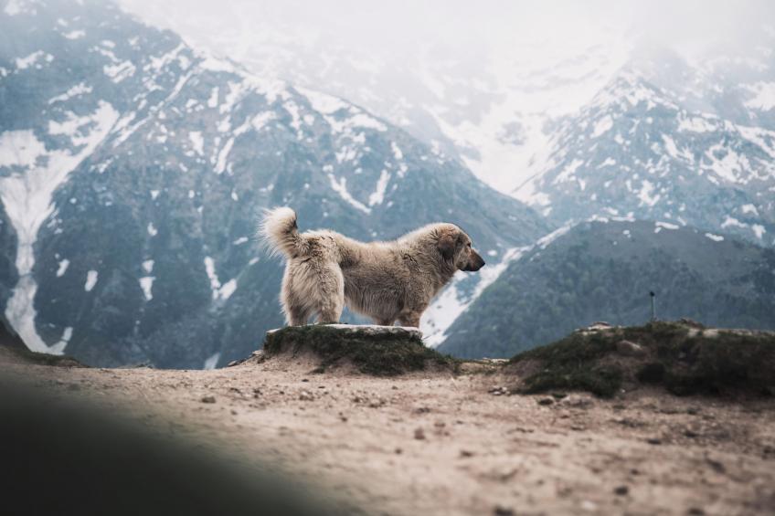 Résidence Privilège 2P4S - foto 25