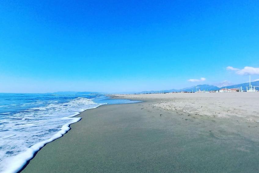 Villa Garibaldino - foto 35