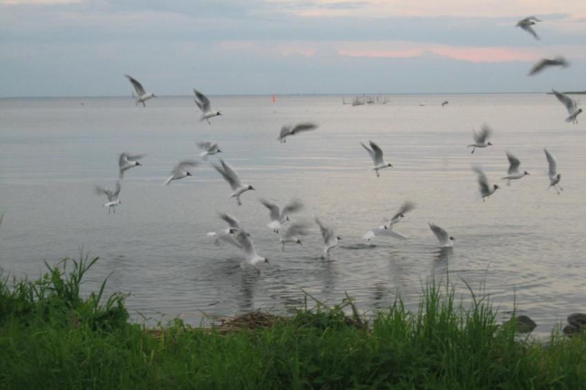 gemütlicher Bungalow - foto 24