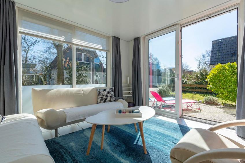 Campanula 52 - foto 3