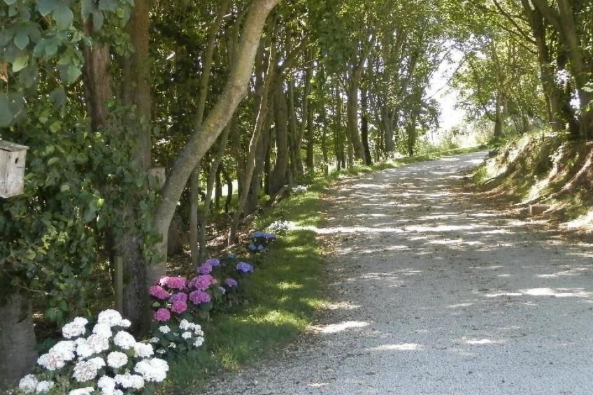 "Tromeal Lasalle" blick auf das Meer. Mit 4 Sternen klassifiziert - foto 32