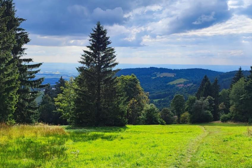 Appartement in Langfurth mit Kleinem Balkon - foto 15