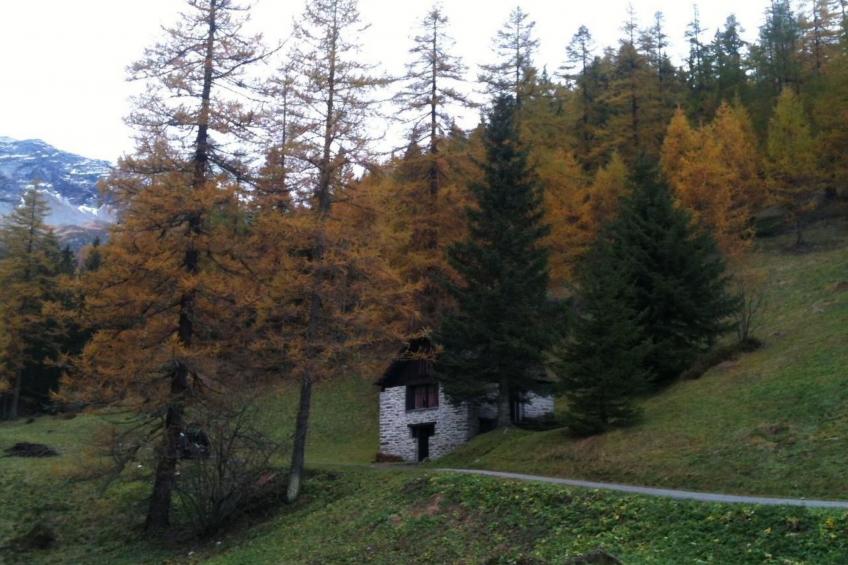 "Rustico Bersacola - foto 6