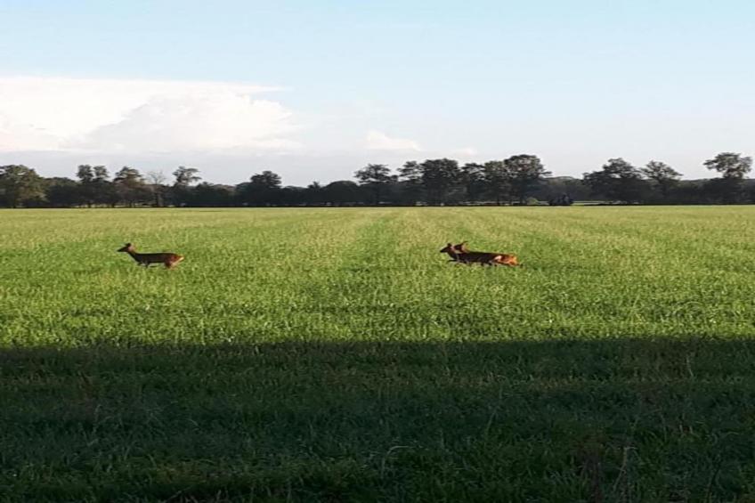 Chalet Egel - foto 15