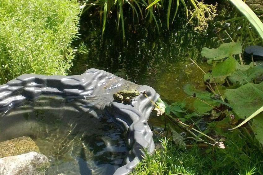 Am Apothekerberg - foto 31