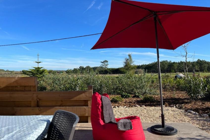 auf dem Lande in der Nähe des Strandes - foto 6