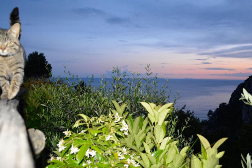 mit Garten, Grill und Terrasse - foto 16