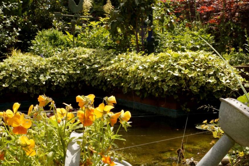 in Marienhafe - foto 16