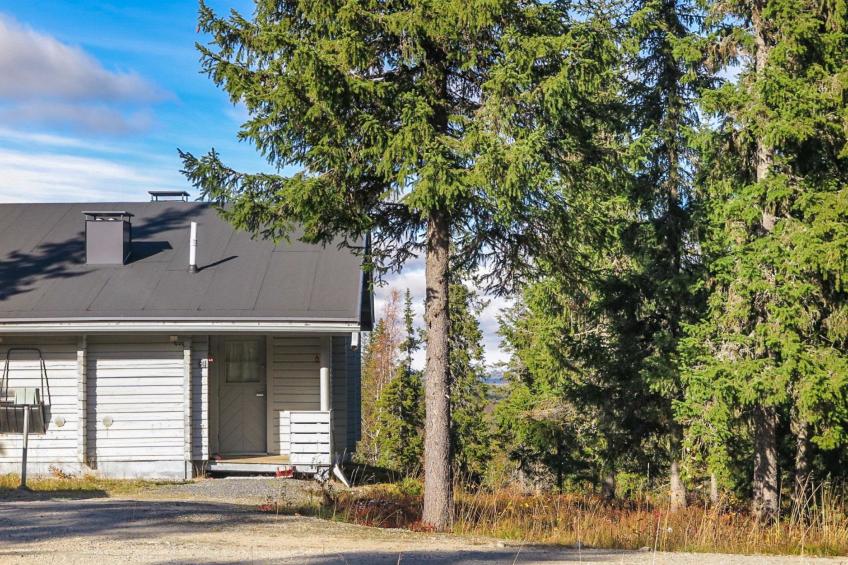 Lupposyöte b1 - foto 8