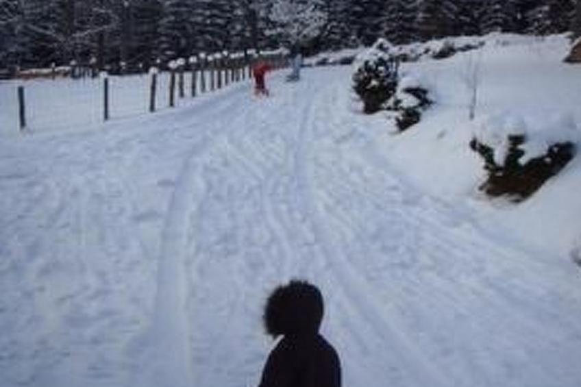 Große Wohnung in Bayerisch Eisenstein - foto 3