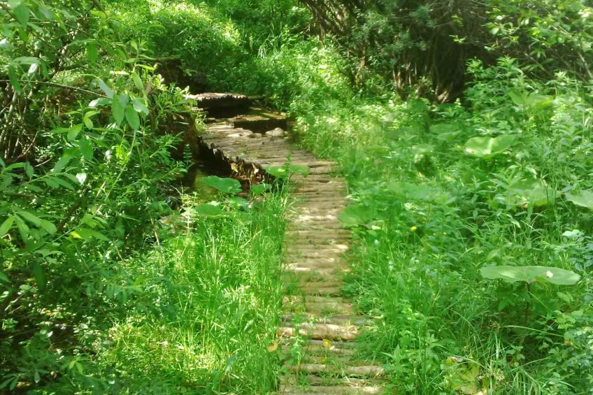 Berghütte "Rural escape Chalet" - foto 4