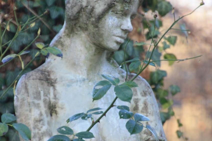 Wohlfühloase für Natur- und Gartenliebhaber - foto 23