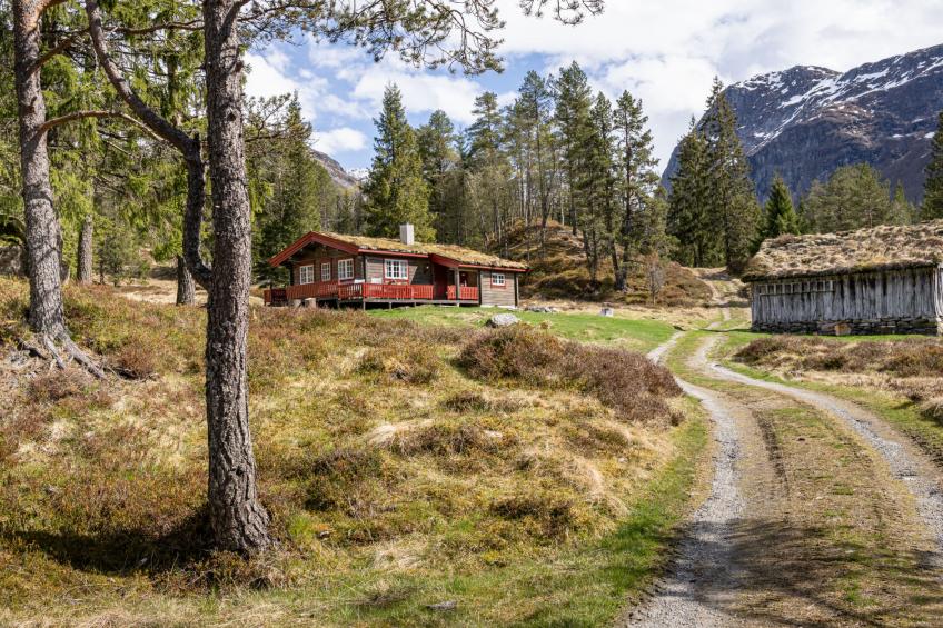 Fjellbris (FJS106) - foto 34