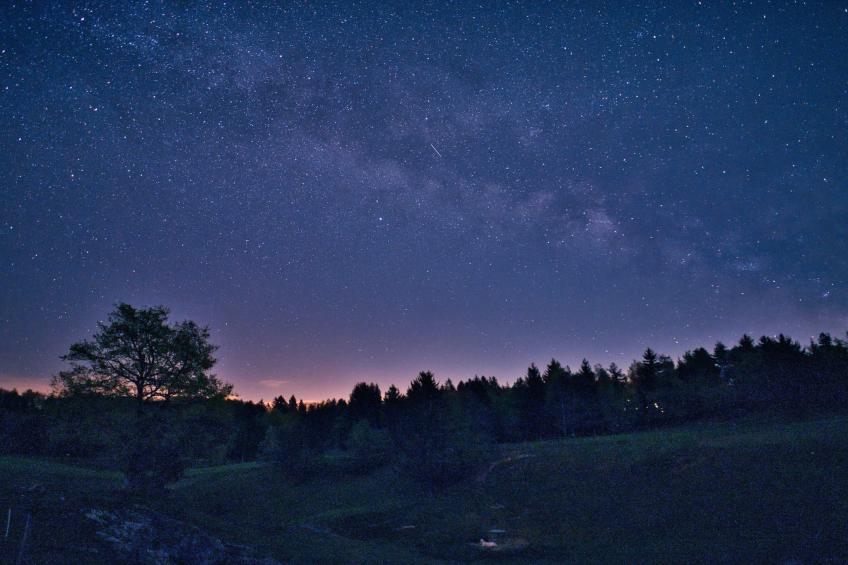 Visnja Gora Meadow Hideaway with Terrace - One Bedroom Cottage with Terrace (owner Hiška na skalci) - foto 24