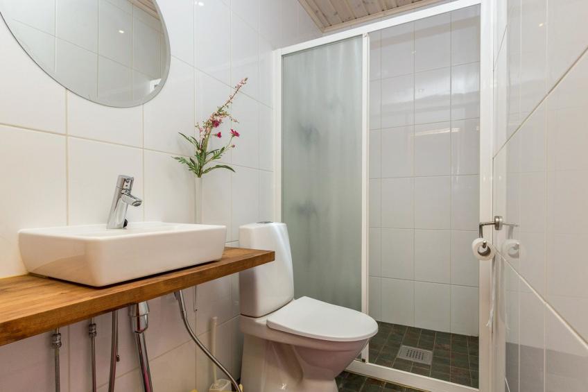 Koivuniemen rouva - foto 20