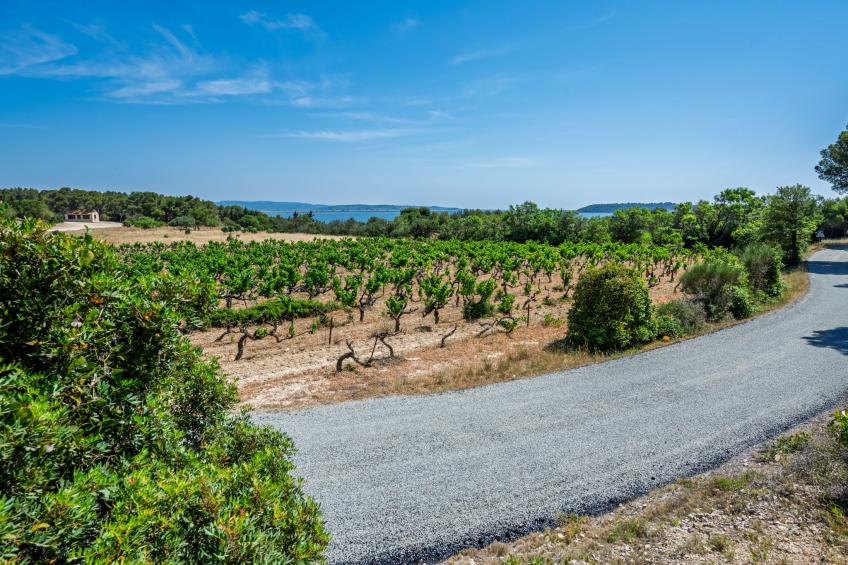 Mas de Caussagues - foto 23