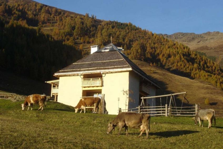 19952 - foto 2
