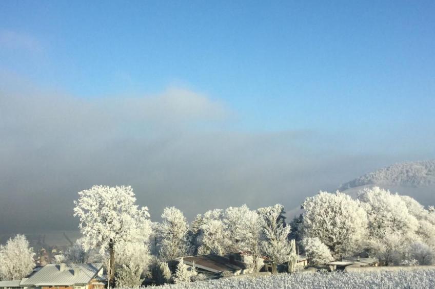 Traumwohnung - foto 72