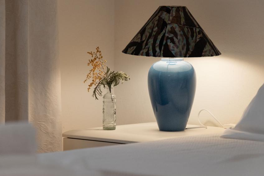 Alpes et Lac - foto 14