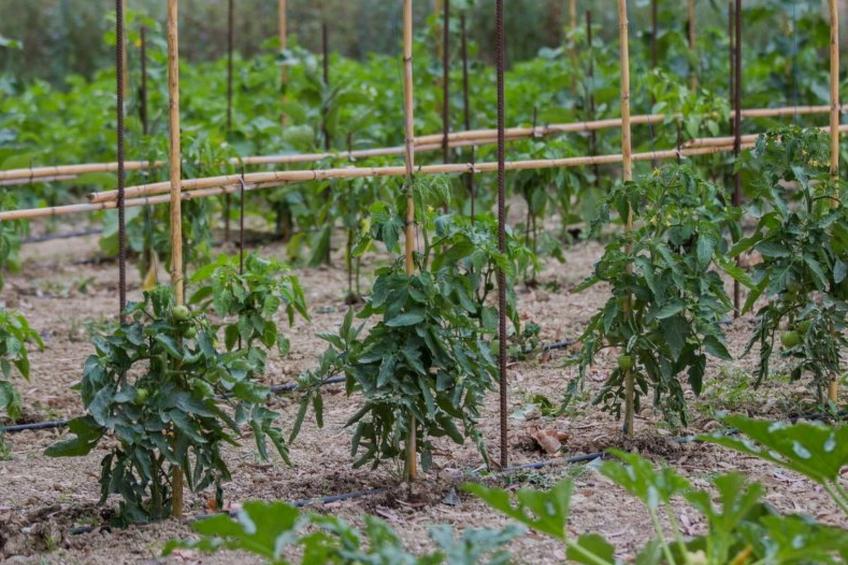 Fantastische Villa Anastasia mit großem Pool - foto 72