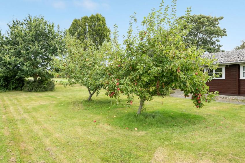 "Gudmunde" - 200m from the sea in SE Jutland - foto 12