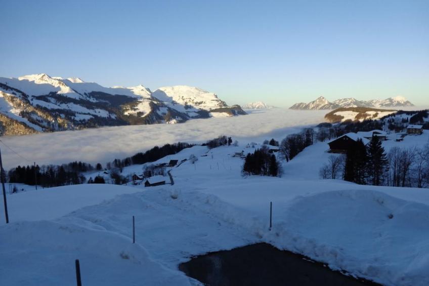 Bauernhof obere Fraumatt - foto 14