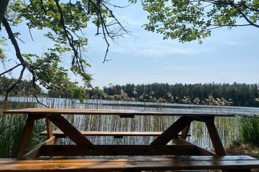 Leśniczówka Szeroki Bór Pisz - foto 24