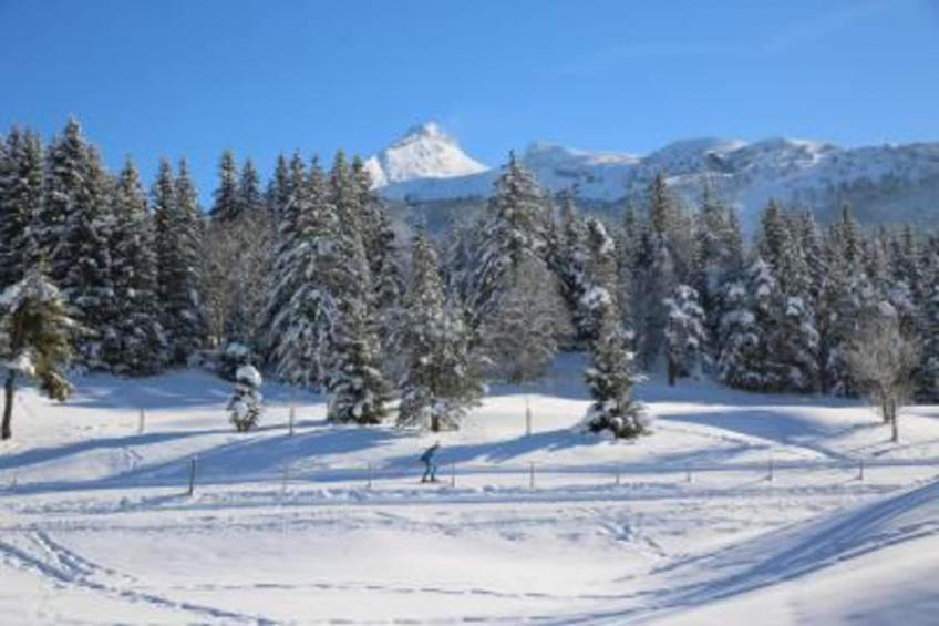 Résidence Rue De La Paix - foto 23