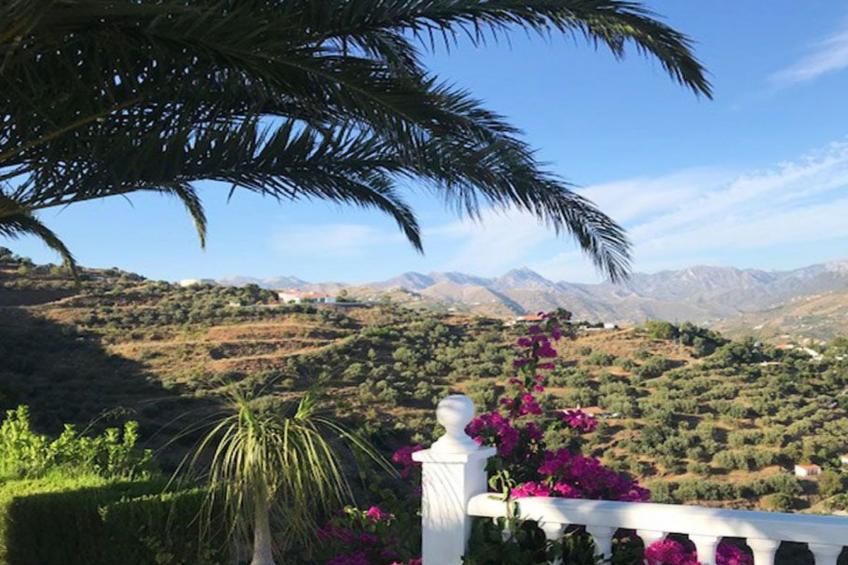 Casa Palmeras in Sayalonga mit Gepflegtem Garten - foto 24