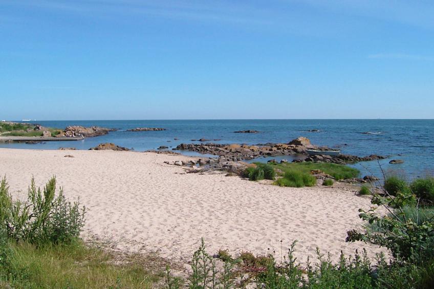 BOESVANG - foto 40