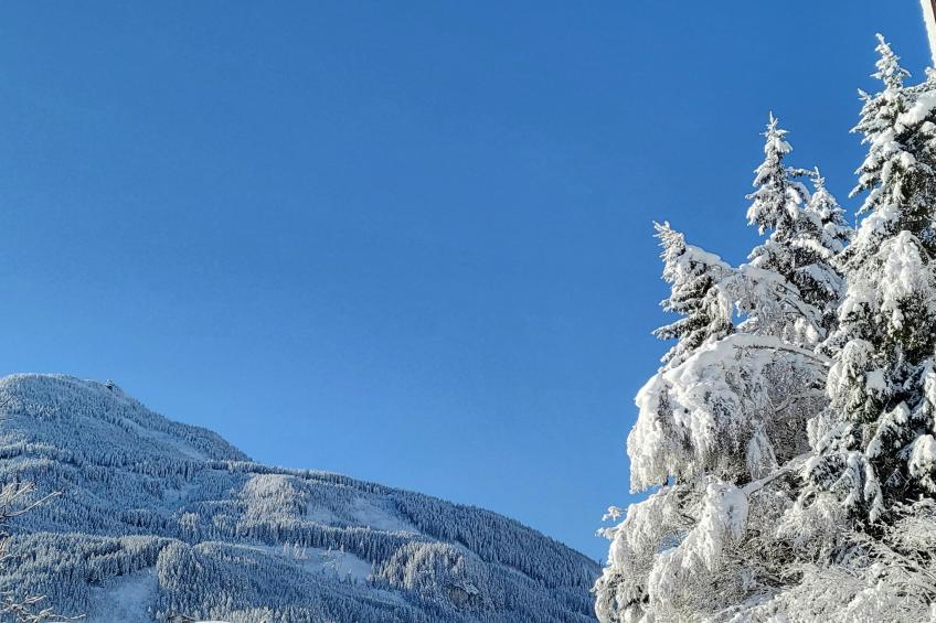 Appartementhaus Tauernfenster, Neukirchen - Typ B - foto 17