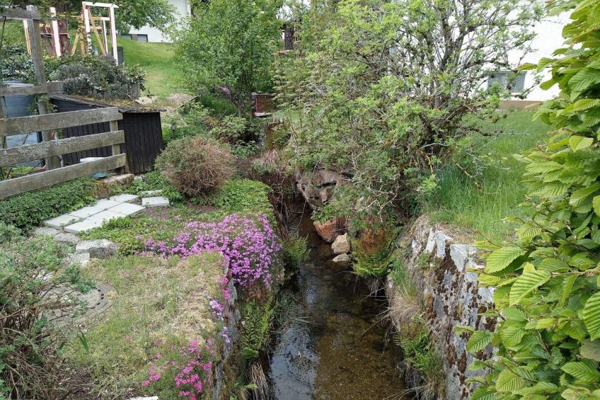 Fichtelzauber mit Sauna - foto 27