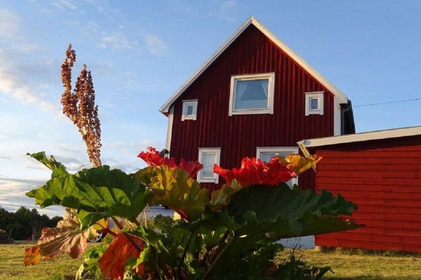 Willkommen im Stable House - foto 17