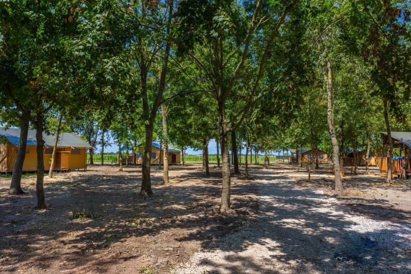 Folaghe bilocale - foto 7