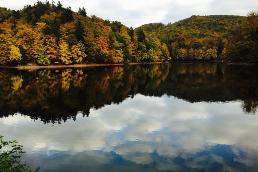 Freistehendes Ferienhaus in Sieber mit Terrasse, Garten und Grill - foto 31