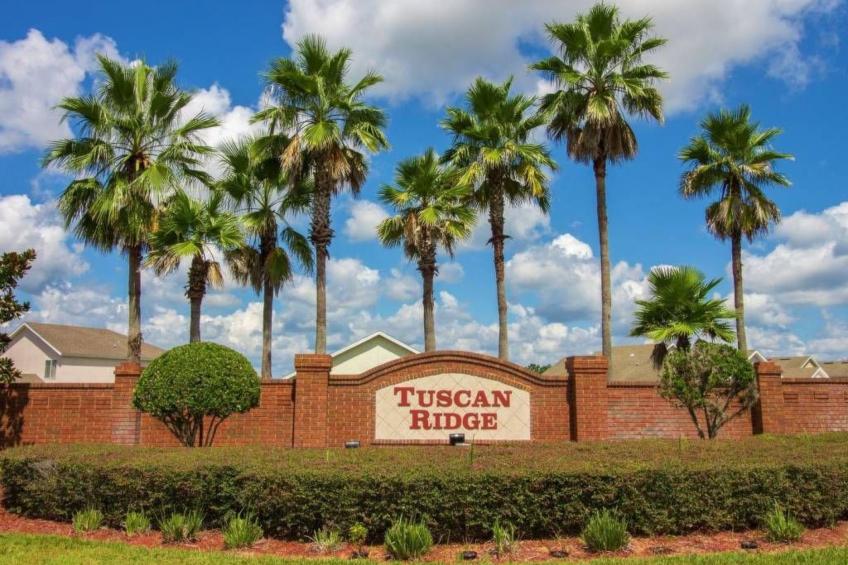 Sonniger Privatpool mit freistehendem Whirlpool und Filmraum - foto 36