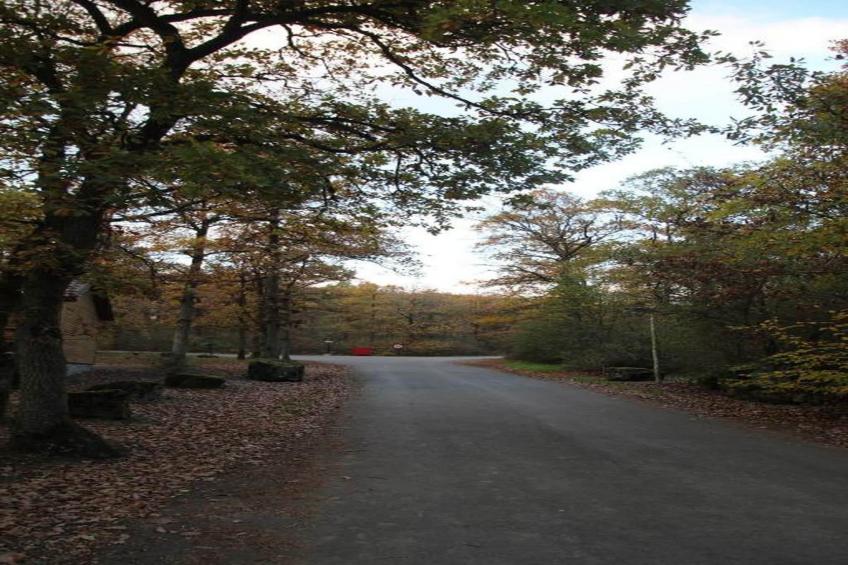 Villa Achille - foto 30