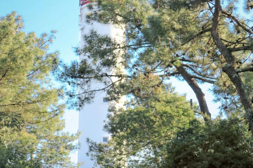 Les Villas de Rêve à la Mer - foto 35