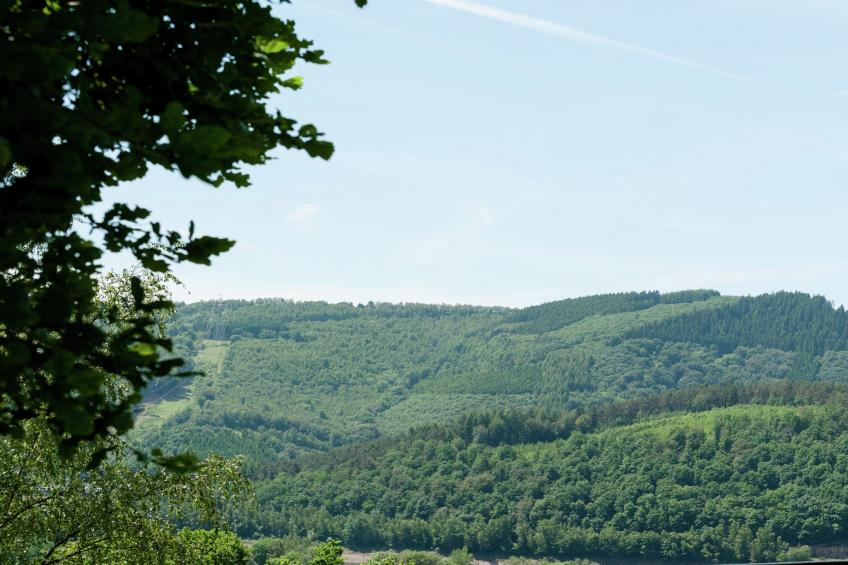 Le Vieux Sart 29 - foto 19