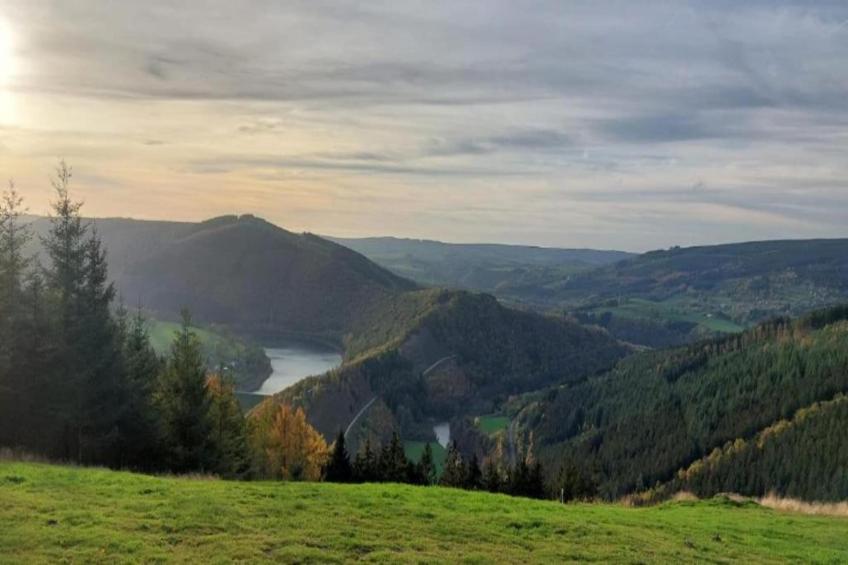 L'Orchidee - foto 28