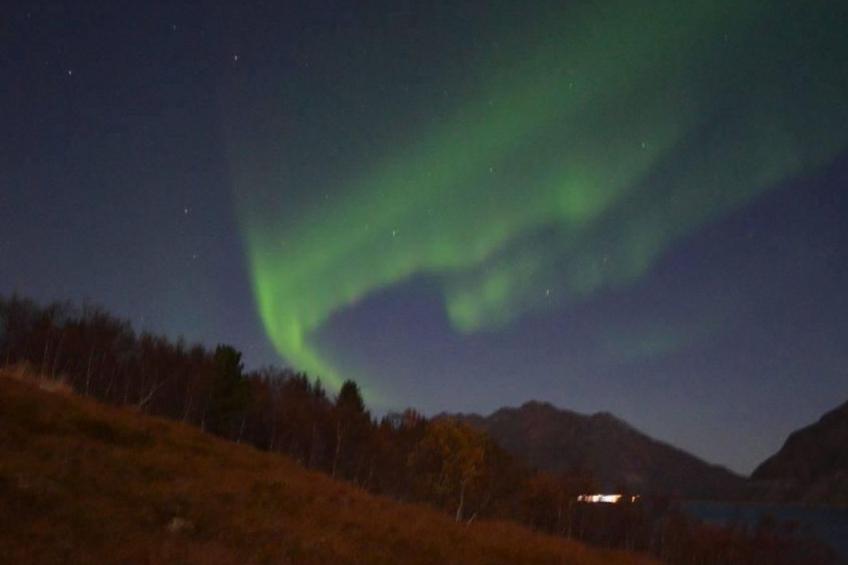 Nesset, Meløy Naturerlebnisse - foto 13